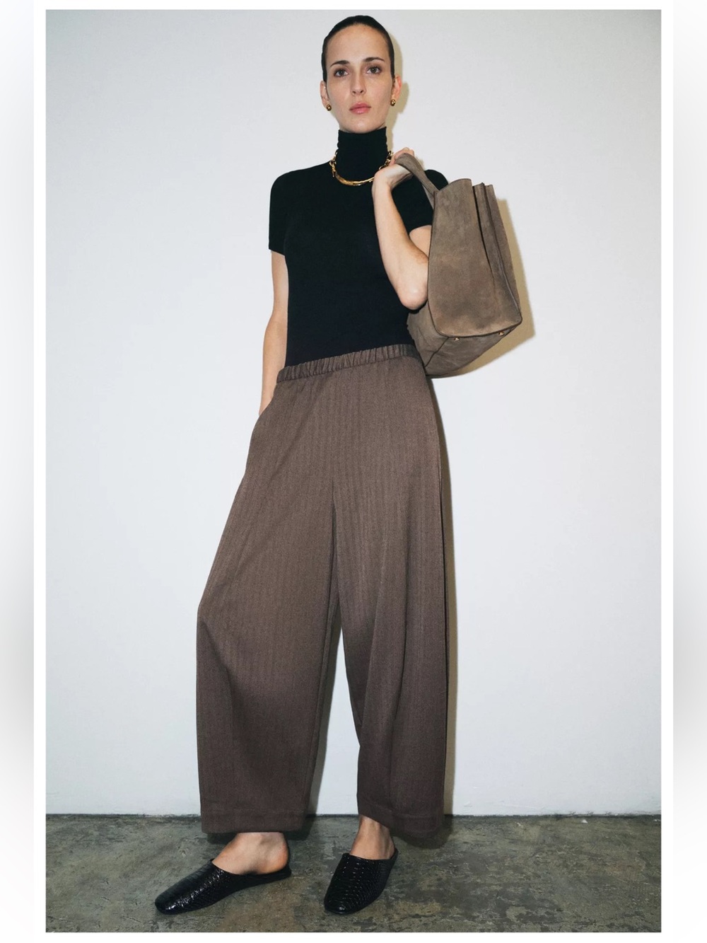 Zara Wide Leg Balloon Elastic Waist Pants in Brown